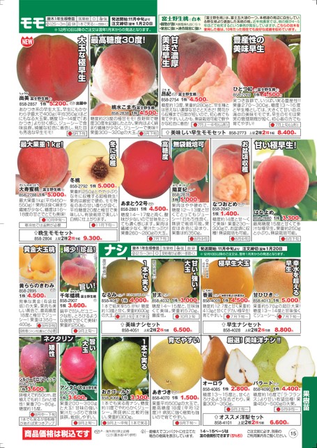 大人気新品白鳳 大玉桃 接木苗木