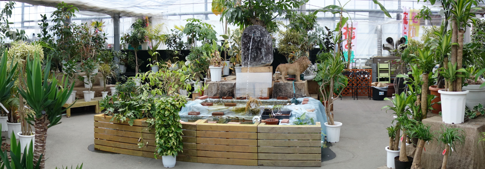 二色の浜店 植物館2